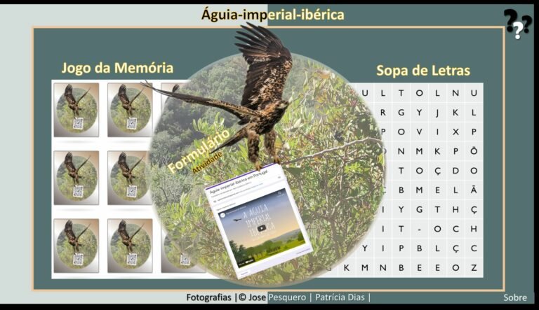 APP - Águia-imperial-ibérica